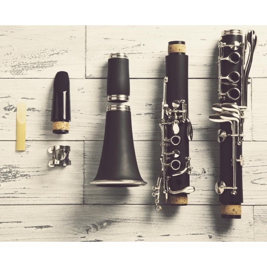 SUEWIO Bb Clarinet Traditional Reeds, Pack with Portable Case