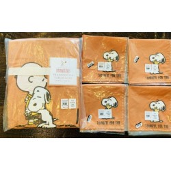 Pottery Barn Kids Peanuts Thanksgiving Tablecloth 4 Napkins Set New Decor Snoopy