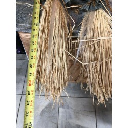 54” Fiber Optic Scarecrow Pumpkin Witch Hat JOL Fall Hay Halloween Trendmasters