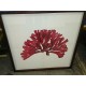 Rare  HTF Pottery Barn  Mango Wood Framed Embroidered Red Coral Art Good Cond