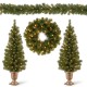 National TreePromotional Assortment- 2 x 4' Entrance Trees in Black /Gold Pot...