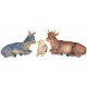 Nativity Scene Set 21