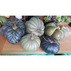 Park Hill Collection Faux Green Heirloom Pumpkins SET 5