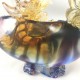 Amore Jewell Dragon Blessing & Good Luck Fengshui Ornament Liuli Crystal Glass