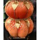 THANKSGIVING VELVET BEADED STACKED PUMPKINS 16” TREE CENTERPIECE TABLE DECOR