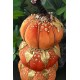 THANKSGIVING VELVET BEADED STACKED PUMPKINS 16” TREE CENTERPIECE TABLE DECOR