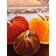 14” Bittersweet Original Velvet Plush Pumpkin Autumn Harvest Halloween Thanksgiv