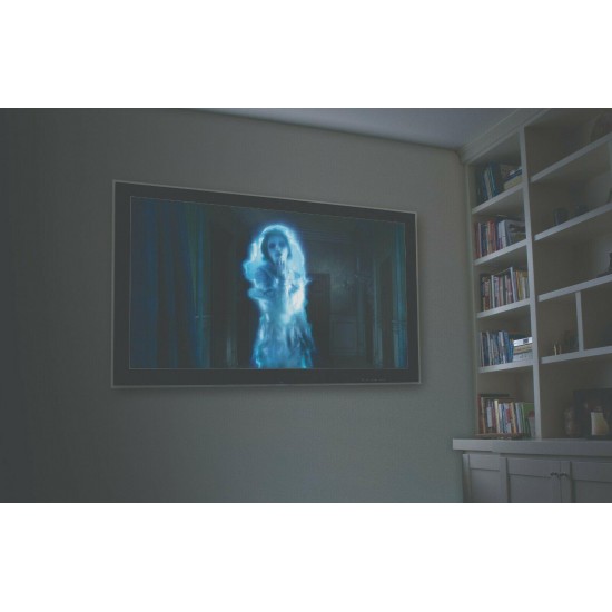 AtmosFearFX Ghostly Apparitions Halloween DVD + 2 Screens (RD) + LED Projector