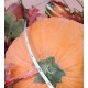 HUGE 3FT Fall HARVEST Pumpkin Floral DISPLAY Basket Thanksgiving HALLOWEEN