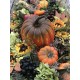 Fall Arrangement, Fall Centerpiece, Artificial Fall Arrangement, Fall Cornucopia