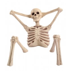 Halloween Indoor Outdoor Decorations Scary Lounging Yard Skeleton House Prop NIB