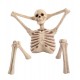 Halloween Indoor Outdoor Decorations Scary Lounging Yard Skeleton House Prop NIB