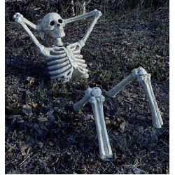 Halloween Indoor Outdoor Decorations Scary Lounging Yard Skeleton House Prop NIB