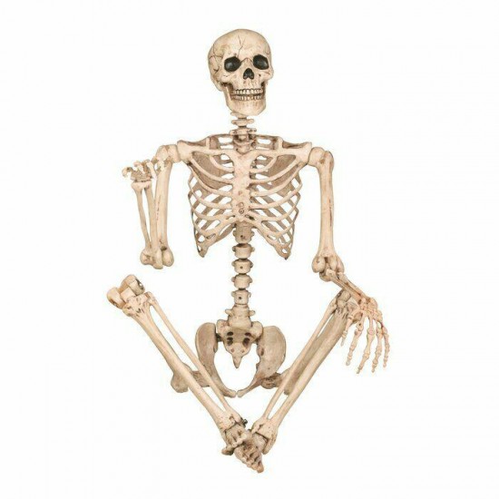 Posable Skeleton Outdoor Halloween Indoor Holiday Decor Prop Skull Scary Large