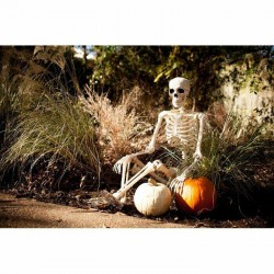 Posable Skeleton Outdoor Halloween Indoor Holiday Decor Prop Skull Scary Large