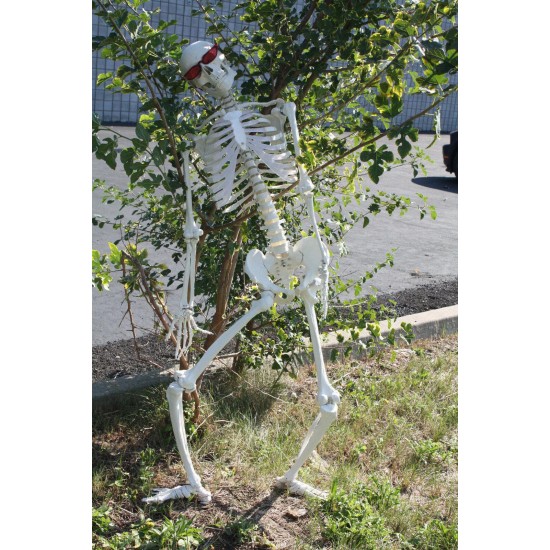 Halloween Skeleton