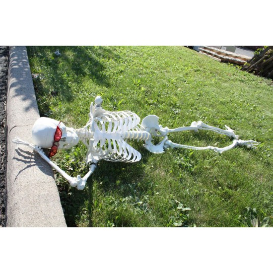 Halloween Skeleton