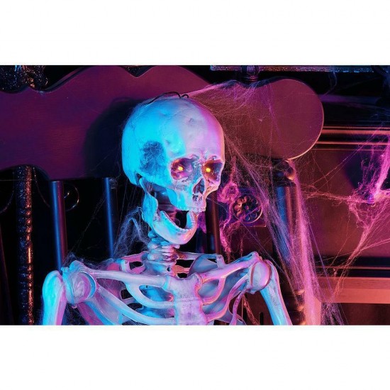 5349-60272HD Poseable Skeleton Prop - 5ft.