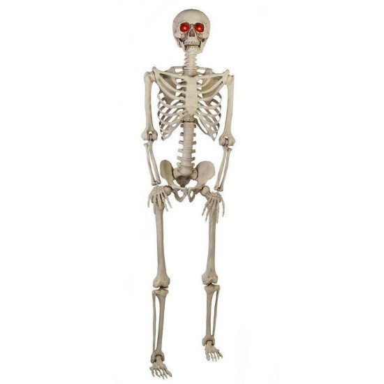 5349-60272HD Poseable Skeleton Prop - 5ft.