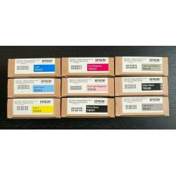 Epson SC p800 Ink Cartridges -- Complete Set